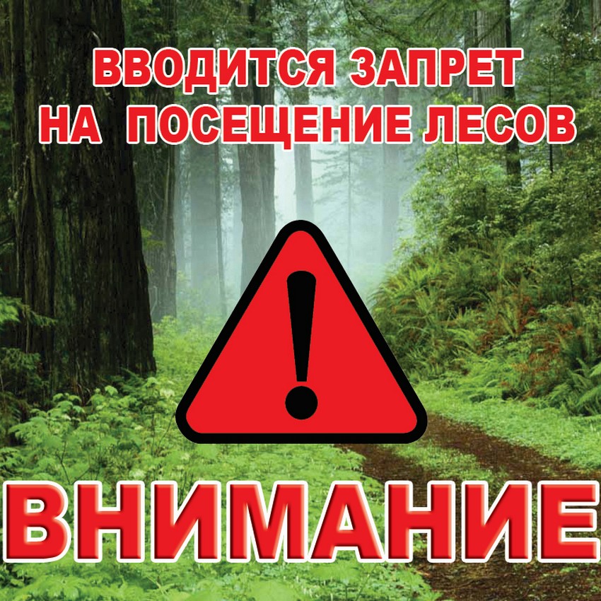 Посещение лесов запрещено!.