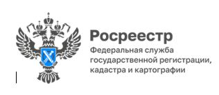 Эксперты ППК «Роскадастр» по Курганской области рассказали о видах выписок из ЕГРН.