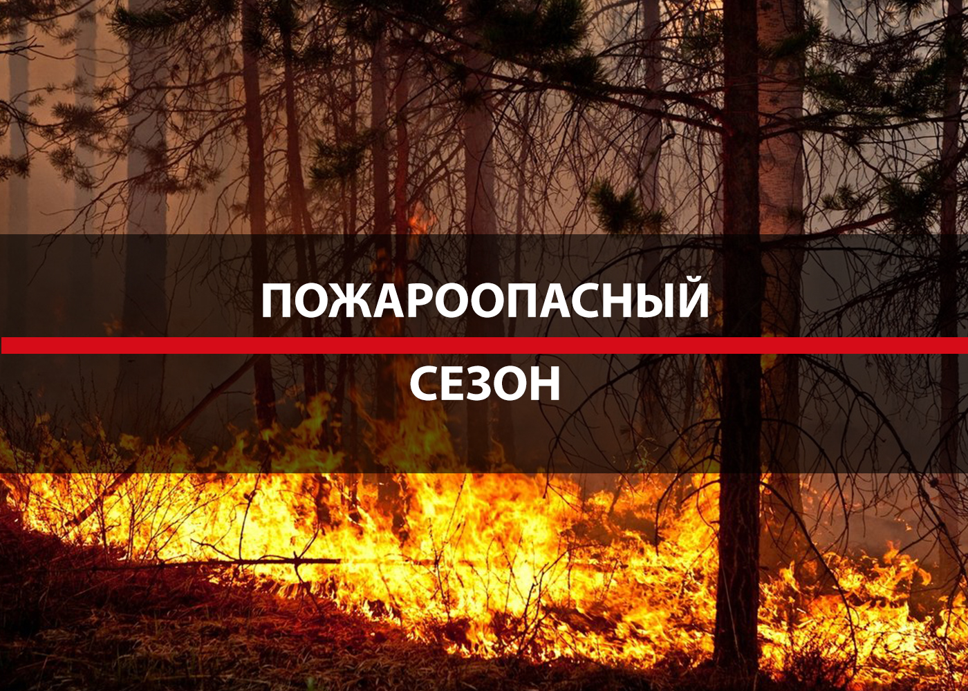 Обращение Главы Альменевского муниципального округа Курганской области А.В. Снежко  по противопожарной безопасности..