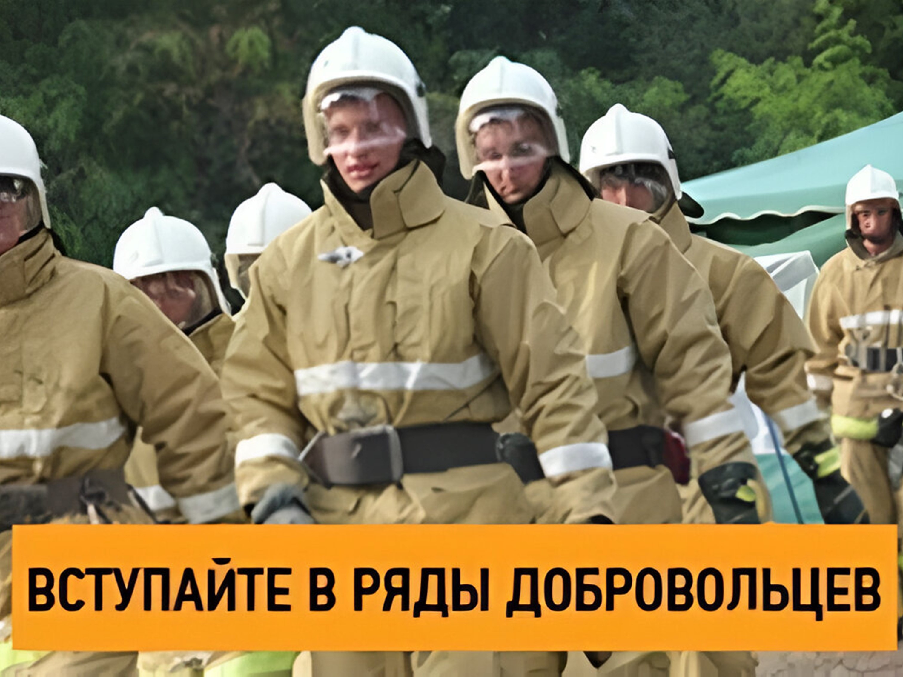 Как вступить в ряды добровольцев по патрулированию лесов и предотвращению лесных пожаров?.