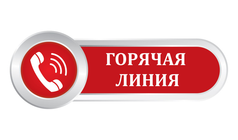 Горячая линия. Горячая линия.