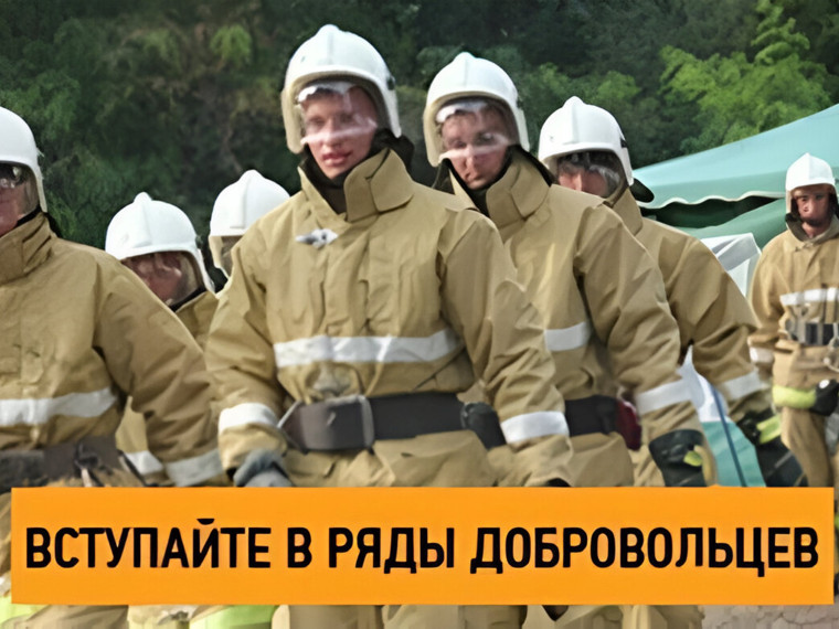 Как вступить в ряды добровольцев по патрулированию лесов и предотвращению лесных пожаров?. Как вступить в ряды добровольцев по патрулированию лесов и предотвращению лесных пожаров?.